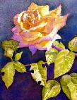 Torrance Rose